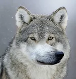 20220808_134348.webp