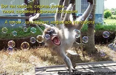 image029.webp