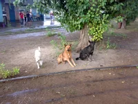 4578.webp