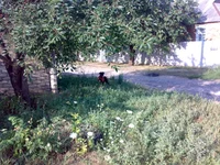 4413.webp