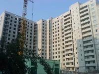 DSC00213.webp