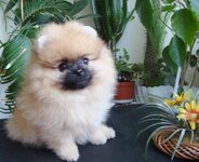 DSC00207.JPG