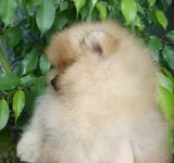 DSC00213.webp