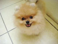 DSC00265.webp