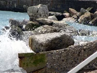 IMG_3160.webp