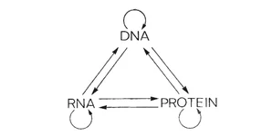 3ef0978c31c37ce97763a.png