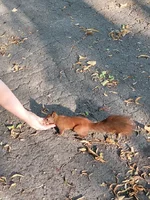20220823_172529.webp