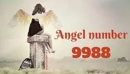 9988.webp
