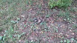 IMG_20220916_112832.webp