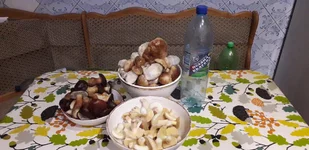 20220921_203824.webp