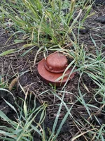 IMG_20220918_095157.webp