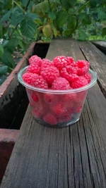 IMG_20220928_164916.webp