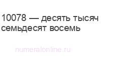 10078.webp