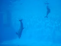 DSC01007.webp