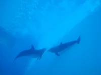 DSC01008.webp