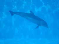 DSC01010.webp