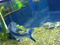 DSC01023.webp