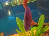 DSC01034.webp