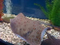 DSC01039.webp
