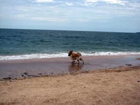 IMG_3840.webp
