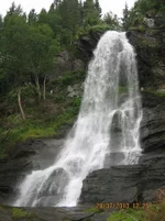 00000011.webp
