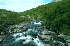 00000012.webp