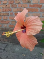  профиль.webp