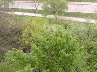 PICT0442.webp