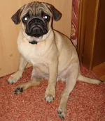 DSC01409(1).webp