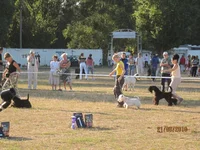 IMG_0626 (92).webp
