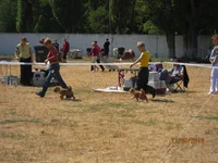 IMG_0514 (27).webp