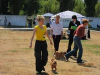IMG_0517 (30).webp