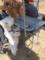 IMG_0568 (62).webp
