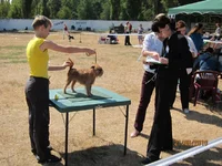 IMG_0498 (11).webp
