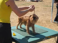 IMG_0491 (5).webp