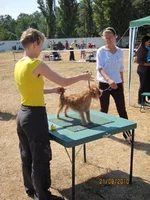 IMG_0496 (9).webp