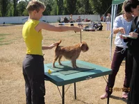 IMG_0500 (13).webp
