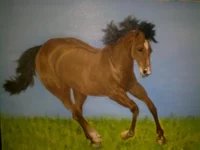 22082010088.jpg