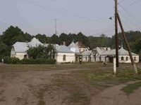 _8150685_thumb.webp