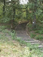 _8150697_thumb.webp
