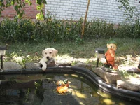  166.webp