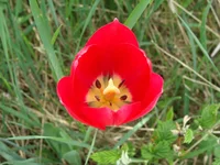 DSC03609.webp