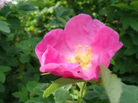 DSC03849.webp