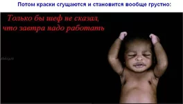8.webp