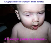 17.webp