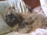 25072009059.webp