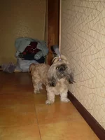P8090273_1.webp