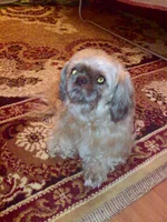 003.webp