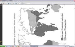 .webp