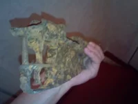 IMG017.webp